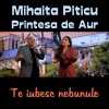 Printesa De Aur、Mihaita Piticu - Te iubesc nebunule