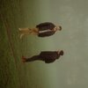 Summer Palace - Disappearing Things