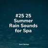 Rain Sounds、Relax Meditation Sleep、Yoga Trainer - White Noise Splashing Rain Drops