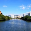 追梦者 WW - 如愿
