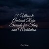 Sleep Sound of Nature、Relaxation Music Guru、Lush Rain Creators - Flowing Rains