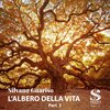 Silvano Guariso - La forza dentro
