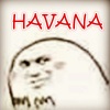 封茗囧菌 - HAVANA