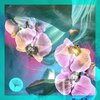 chus、Dorian Craft、Tosz、habischman - Breathe (Habischman Remix)