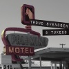 Trond Svendsen & Tuxedo - Love Like This