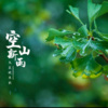 浅淡云添 - 空山新雨后