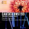 Petra Müllejans、carolyn sampson、Freiburger Barockorchester - Mein Herze schwimmt im Blut, BWV 199: I. Recitativo 