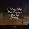 Yoga Trainer、SleepTherapy、Especialistas de Musica para Dormir - Pleasant Rains