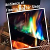 Fire Sounds、Binaural Movements、Study Academy - Fire Mind Spa