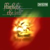 Flutlicht - The Fall (Original Mix)