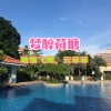 踏雪飞鹰 - 梦醉荷塘