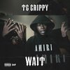 DJ Swervy B、TG Crippy - Wait (feat. TG Crippy)(Explicit)
