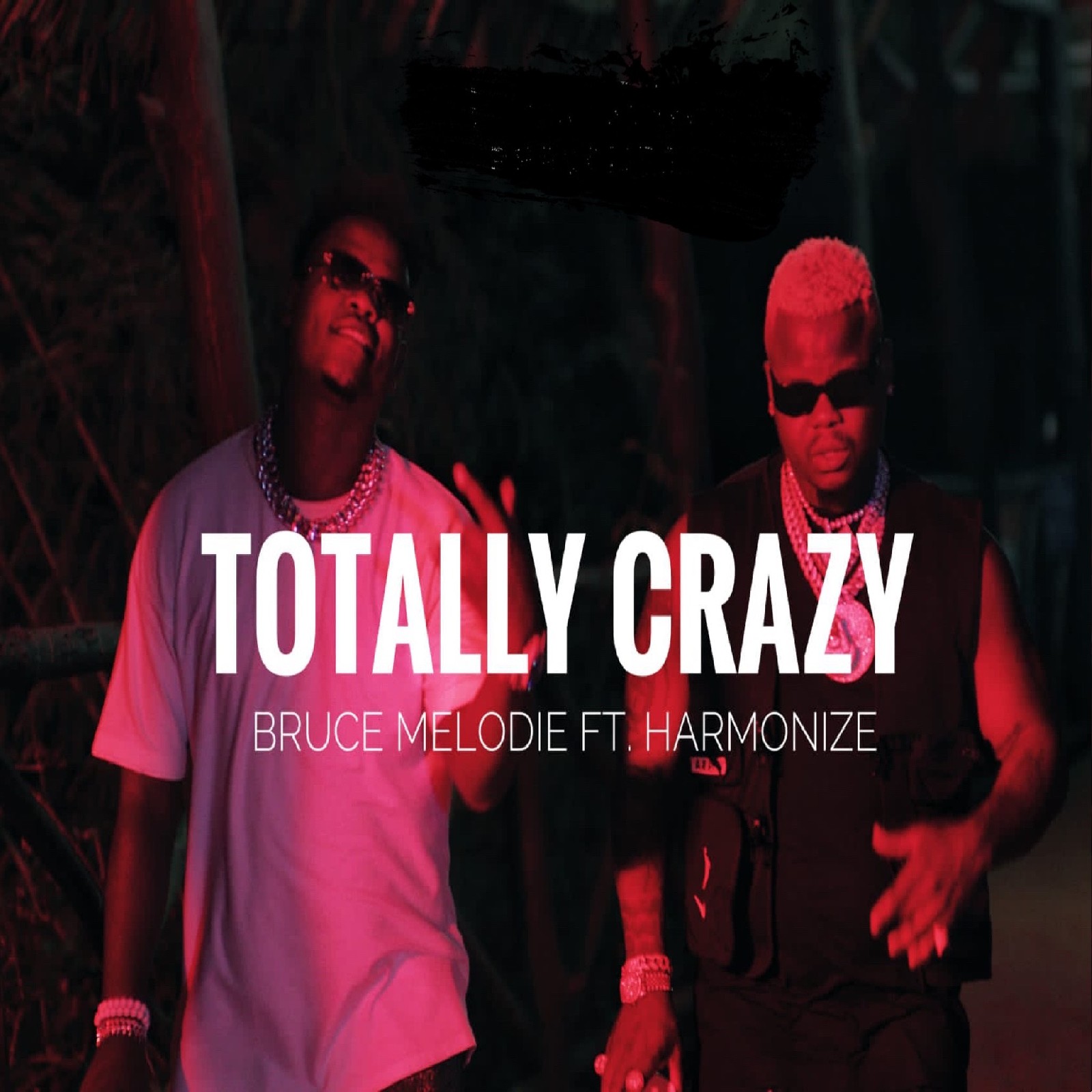 Harmonize、Bruce Melodie - Totally Crazy