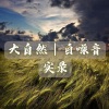 花开有声剧社 - 01 清晨的雨