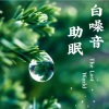 花开有声剧社 - 乡间夜曲