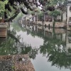 田坤 - 一生最爱的是你