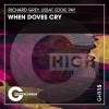 Richard Grey、Lissat、Eddie Pay - When Doves Cry (Original Mix)