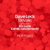 Dave Leck - Radius
