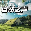 蓝蓝蓝又蓝《3D助眠，大自然纯音乐》[MP3/LRC]