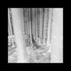 Substance - Im Abseits
