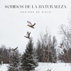 Ruido Del Sueno、Naturaleza Sonidos、Sonidos de la Naturaleza para Dormir - Agua Bajo Hielo