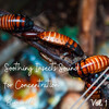 Nature Lab、Nature on Record、Binaural Beats System - Eliminate Distractions