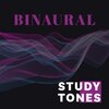 Focus Skills Zone、Hypnobirthing Music Academy - Binaural Beats