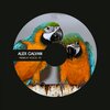 Alex Galvan - Midnight Voices
