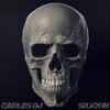 Carles Dj - Silicon