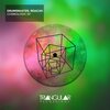 DrumsMaster、Roachh - Cosmologic (Original Mix)