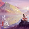 向文涛 - 待我