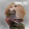Sexgadget、Ever - L - Criminal Vibes (Original Mix)
