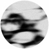 Seekers International、Om Unit - Ghosts (Seekers International VIP)