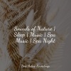 Deep Sleep Music Experience、Yoga Rain、The Sleep Specialist - In the Dark