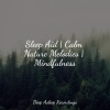 SleepTherapy、Massage Tribe、Deep Sleep Music Experience - Sleep Tracks Tonight