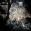 CELEC - Imaginary **