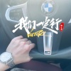 涛少君 - 你看日子山高水长 (DJ版)