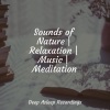 Mother Nature Sound FX、Alpha Brain Waves、Zen Music Garden - Dreamscape Horizons