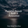 Zen Music Garden、Natural Sound Makers、Relaxing Music - Sunset on the Mountain