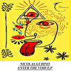 Nicolas Gudino - Enter The Void (Original Mix)