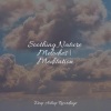 Ocean Waves for Sleep、Relaxing Spa Music、Kinderlieder-Superstar - Healing Warmth