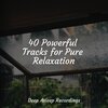 SleepTherapy、Deep Sleep、Musica Relajante Para Dormir - Serene Beaches