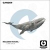 GANDER - COME BACK