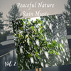 Rain Sounds & Nature Sounds、Rain Sound Studio、Binaural Beats System - Rainy Night In Georgia