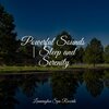 Entspannungsmusik Oase、Sleep Sound of Nature、Soothing Baby Music - Tranquil Binaural Sounds