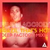 Felipe Accioly - Brazil That's Hot (Deep Factory Club Mix)