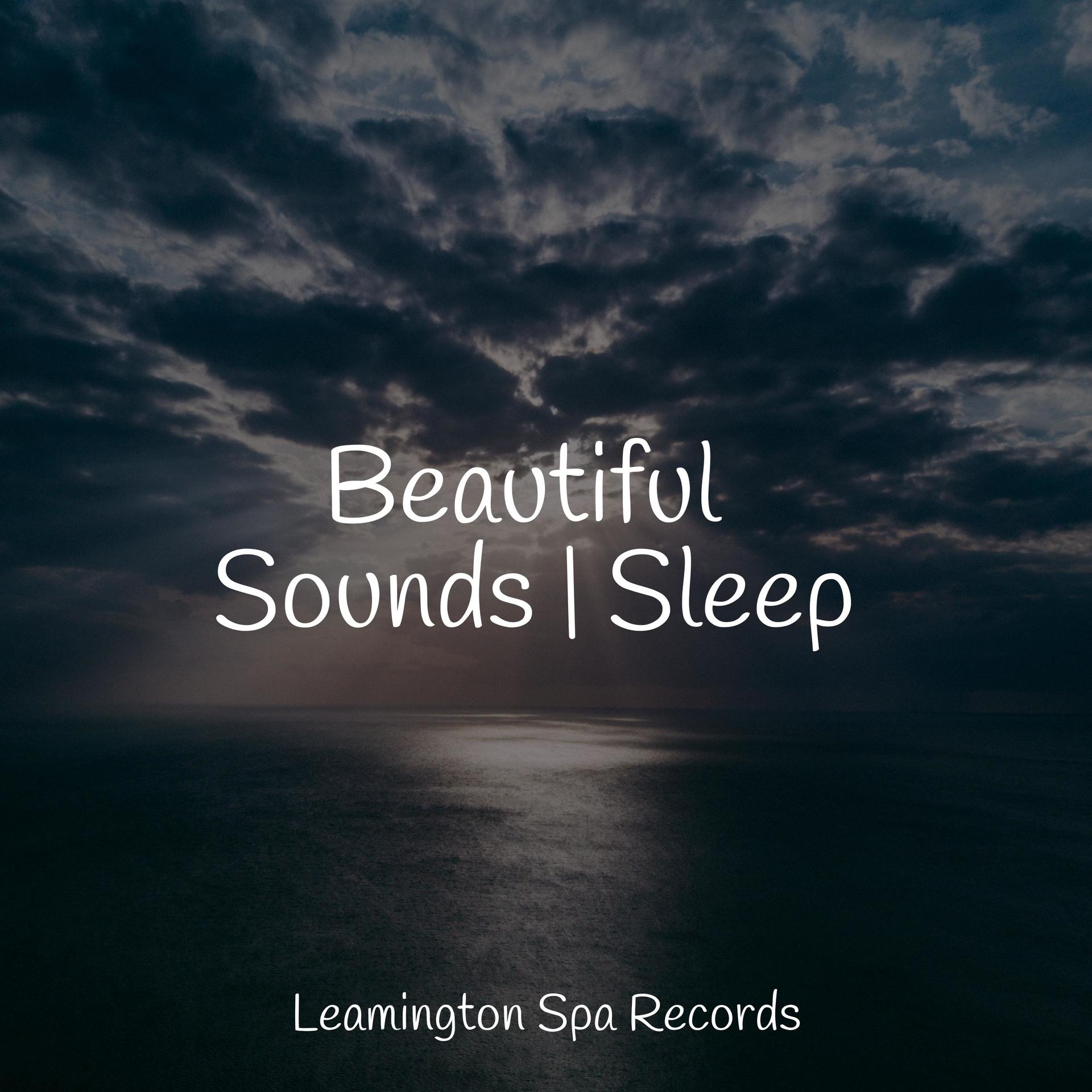 Classical Study Music、Powerthoughts Meditation Club、Rain Forest FX - Peace & Tranquility