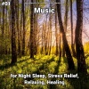 Relaxing Music by Terry Woodbead、Yoga、Relaxing Music - Relaxing Music