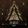 段凯 - 圣诞结