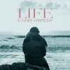 Body Harmony Music Consort、Soothing Music Specialists - Deep Emotional Immersion